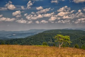 Phoca Thumb M Landschaft Rohrhardsberg 5920 2017